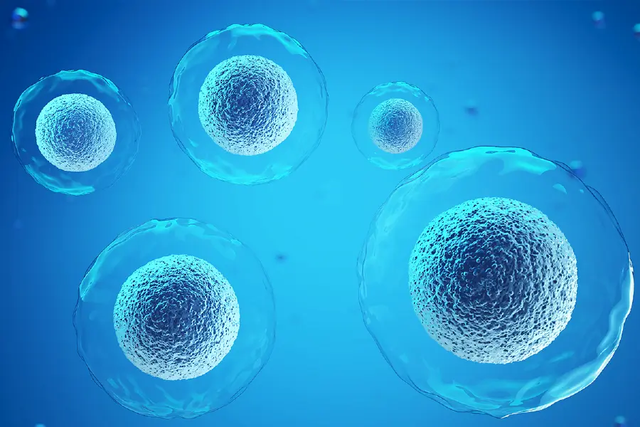 Stem Cells Bank